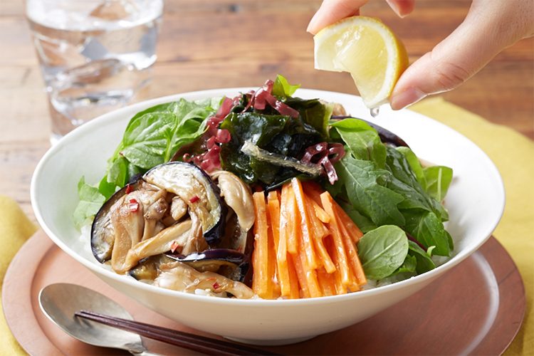 Kit2�l�O�^[PlantOisix]8�i�ڃ`�����M�{�E��