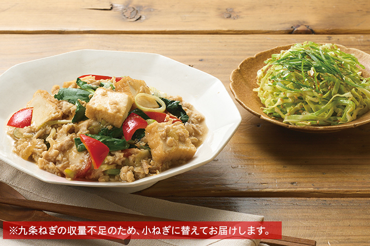 Kit3人前／厚揚げと鶏そぼろの中華餡|ISETAN DOOR