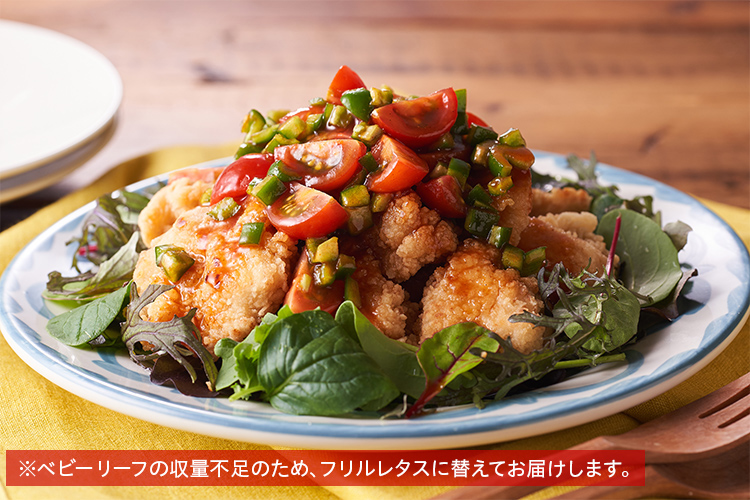 [Kit]�`�L���t���C�̃T���T��