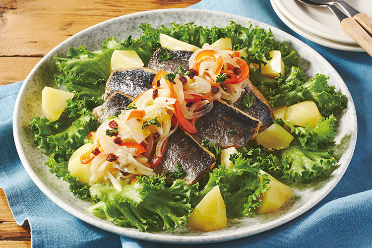 [Kit]�n���C���I�j�V���̃G�X�J�x�b�V���T���_