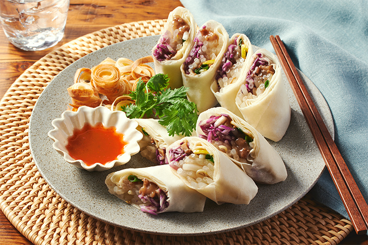 Kit2�l�O�^[PlantOisix]�������ƃx�g�i�����׃W���[��