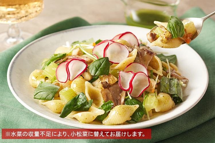 Kit2�l�O�^[PlantOisix]�W�F�m�x�[�[�̊L�k�p�X�^