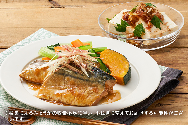 Kit2人前 シャキ みょうが香るさばのみぞれ煮 Isetan Door Kit2人前 シャキ みょうが香るさばのみぞれ煮 Isetan Door