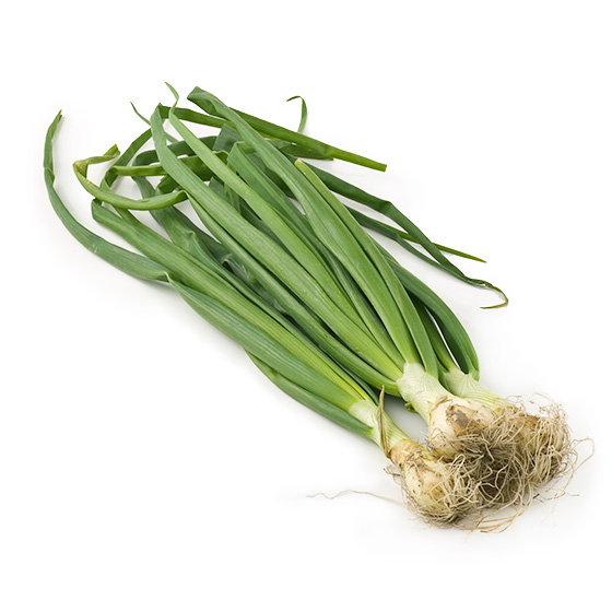 �t���ς��y���ށI���炩 �t�ʂ˂�(�a�̎R���Y)