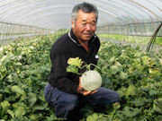 �Óc ��������                                   