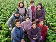 �����@�Ǝq����                                  