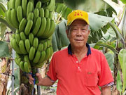 �\ ��敂���                                     