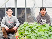 �܂ق�ΌÓs�ؑg������                          