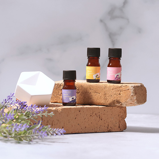 [�����̖�]�l�������A���}�X�g�[���Z�b�g