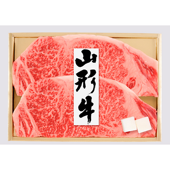 [�R�`��]�T�[���C���X�e�[�L�p�����@IYT-100