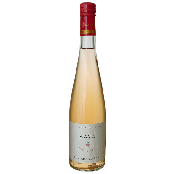 [T_nAIL]ďCSAYA2024iV[hj
