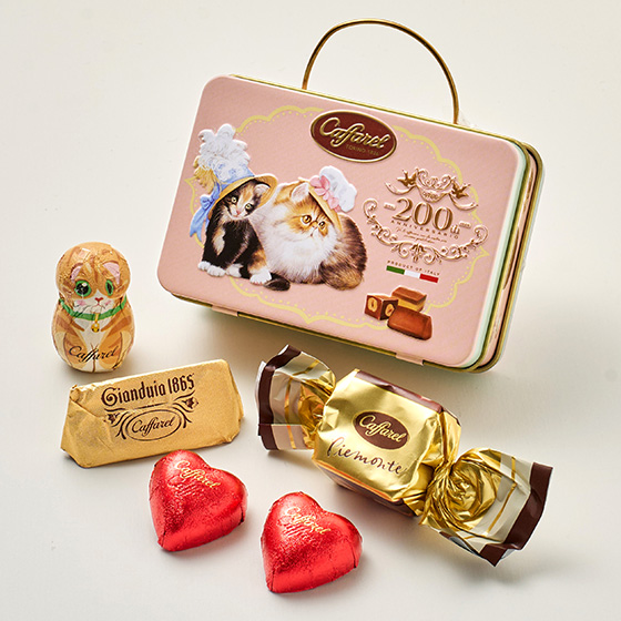 [�J�t�@����]�˂��̃e�B�[�^�C���@�g�����N����