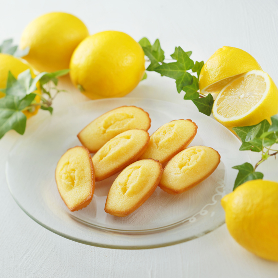 [�A�����E�V�����p���e�B�G]�W�H�������}�h���[�k