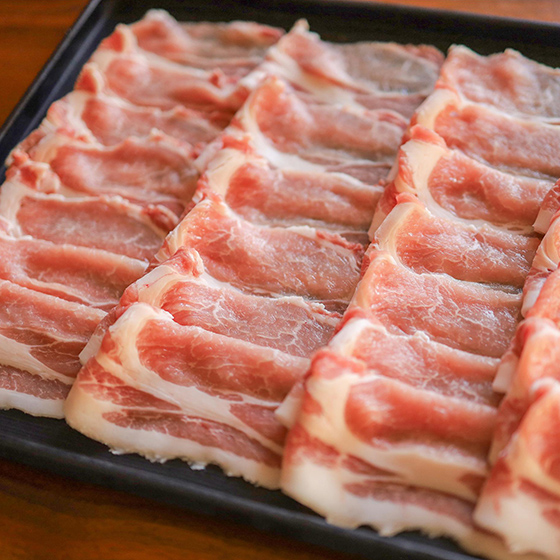 [������]�݌��؃��[�X����Ԃ���ԗp