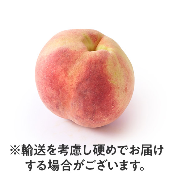 �������ƍL�����i�ȊÂ��I�ґ�(�R�����Y)