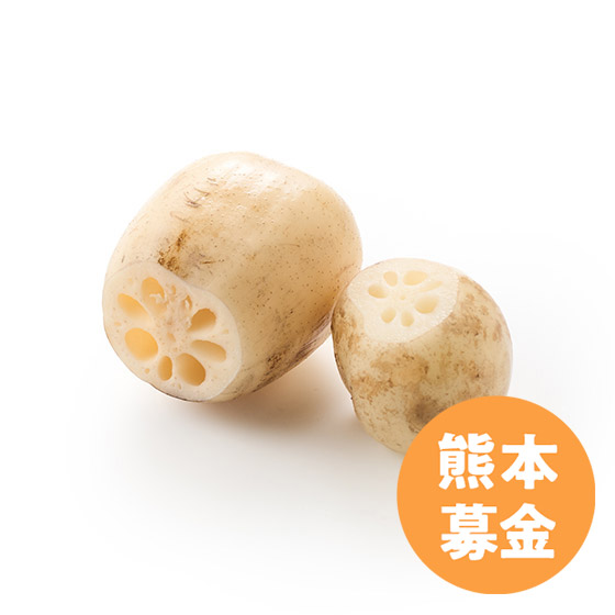 [50�~��t]�H�����y���ސV��񂱂�(�F�{���Y)