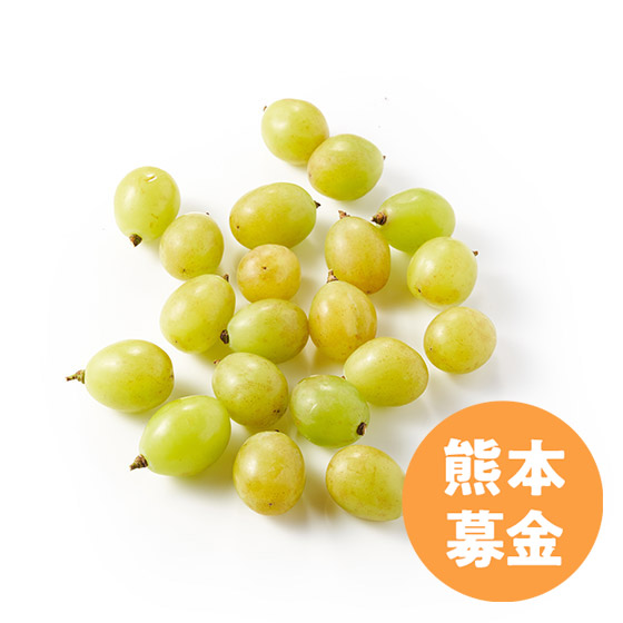 [50�~��t]�������V���C���}�X�J�b�g(�F�{���Y)