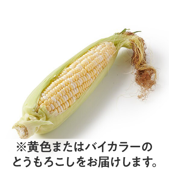 �Ղ����Ƃ͂�����I�Â݂Ƃ����낱��(�k�C��)