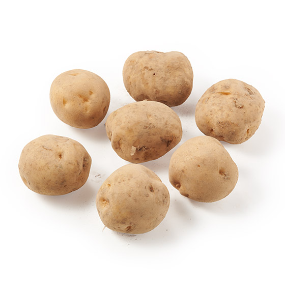 �y��e�ʁz�k�̑�n�̂ق��Â��Ⴊ����(�k�C���Y700g)
