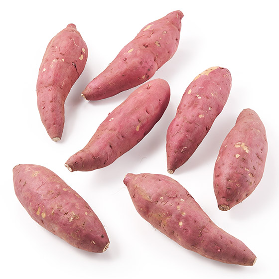 �y���ʁz�z�N�z�N�Â��I���܂���(600g �F�{���Y)