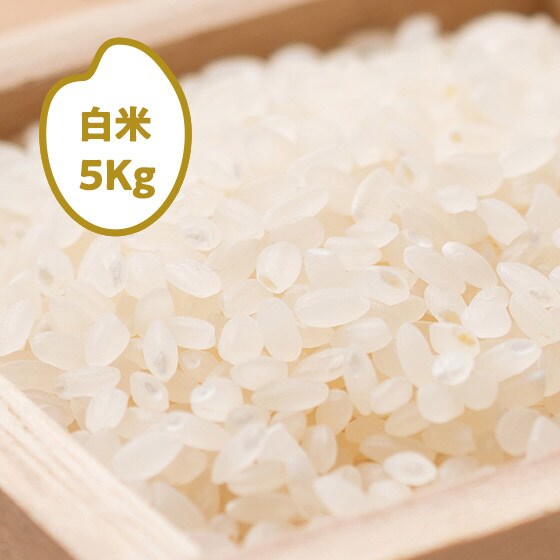 [2024NY]ӂ kCklY()5kg