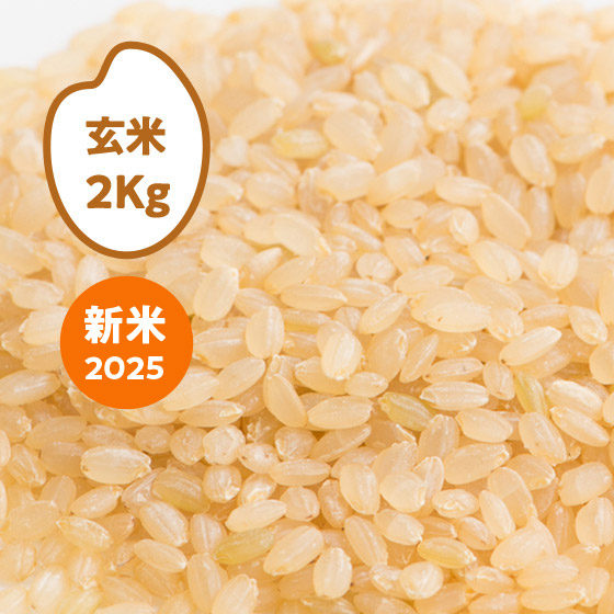 [25N]܂HcY(胍EJbg)2kg