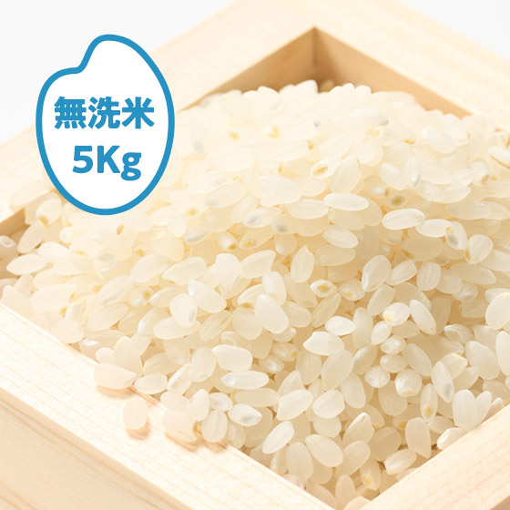 [2025�N�Y]�T�L�z�R�� �H�c����k�S(����E������)5kg