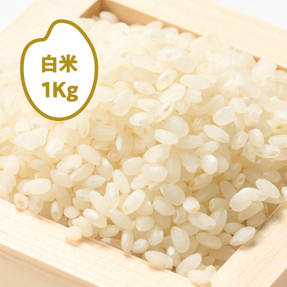 [2025�N�Y]��̞K ���̂��̈� �򕌌����C�s(����)1kg