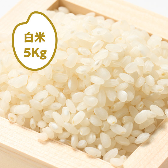 [2025�N�Y]��̞K ���̂��̈� �򕌌����C�s(����)5kg