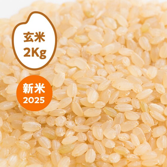 [2025NY]RVqJ xRsY()2kg