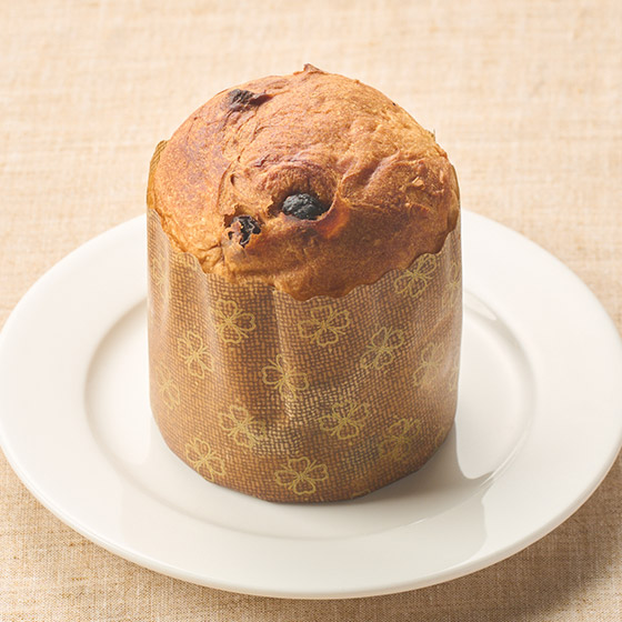 y\zC^A̓`َqplbg[lNVR100g