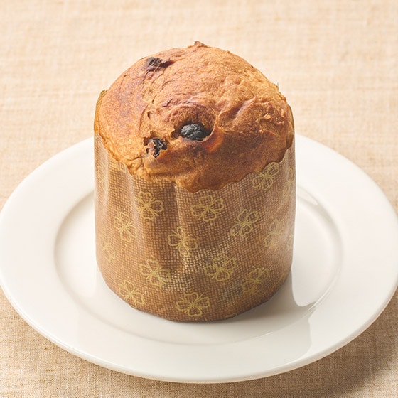 C^A̓`َqplbg[lNVR100g