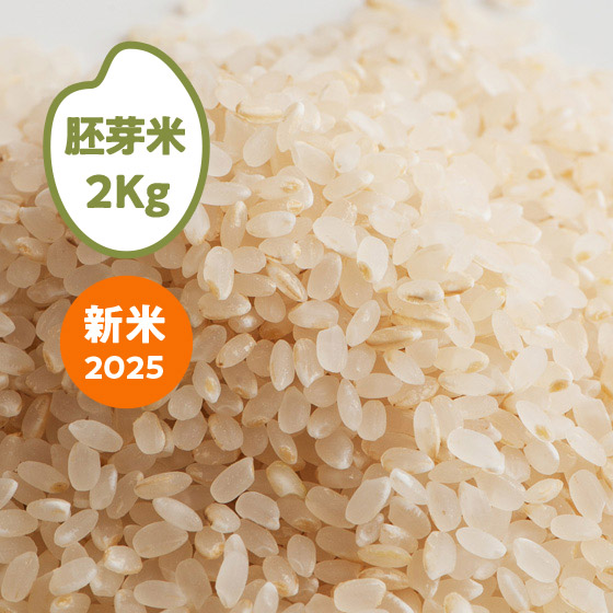 [2025NY]  Ȗ،JSY()2kg