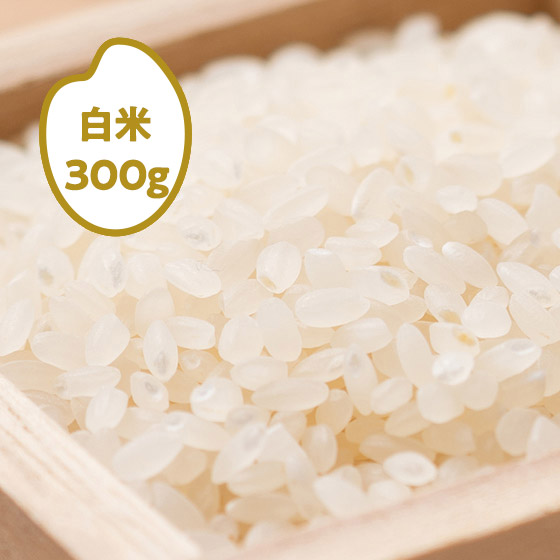 [���ē��w��Ȃ�]25�N�L�@�͂�킽��X��(����)300g