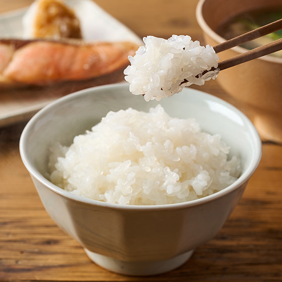 ���Ăɂ܂��ăJ�����[�J�b�g�I���� �����񂫂��