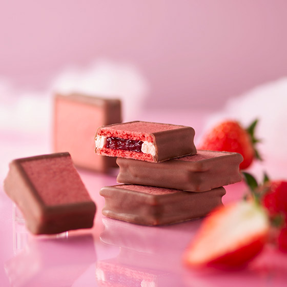 �y�ܖ�4/5�z�{��䕂Ƃ낯��X�g���x���[�W���G���[