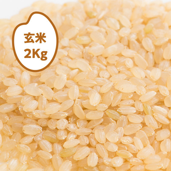 2025年産]コシヒカリ 長野県下高井郡(玄米)2kg|ISETAN DOOR
