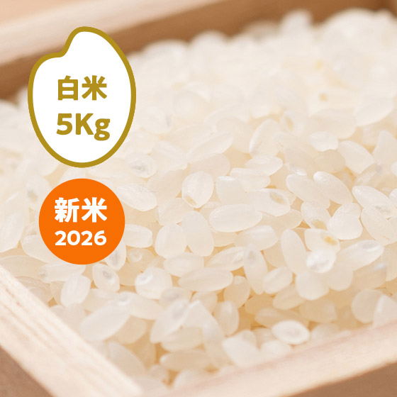 [2026�N�Y] �R�V�q�J�� �F�{���V��(����)5kg