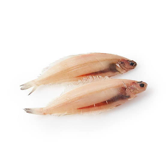 �y�Ƃ�s�`�z�����{�I �q�������K���C�i��2���j