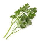 �g���؂�@�����̍ʂ�Ɂ@�C�^���A���p�Z��(��錧�Y 絒J����)