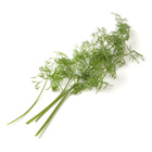 �g���؂�@�������ɓY���ā@�f�B��(��錧�Y 絒J����)