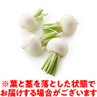 �����ŊÂ݂̂��� �t���[�c����(��t���Y �Ð삳��)