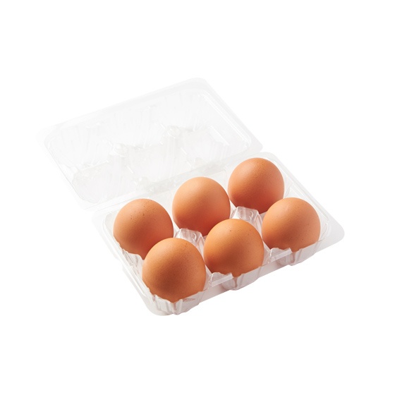 �[�w���炿�@�x�m�R�[���܂��i6�j