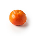 �Ê`�̉��l�I�x�L�`(1�� �ޗǌ��Y)