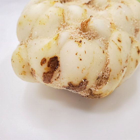 ������Q�̂��߈ꕔ�������Ȃ��Ă��邱�Ƃ��������܂��B�C�ɂȂ���͎�菜���Ă��������B