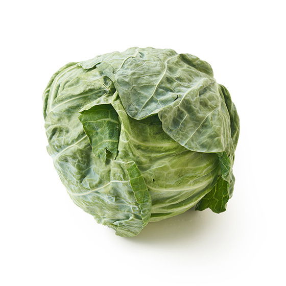 VLӂIq̏ăLxc(tY)