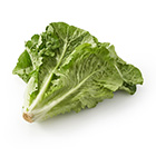 ���ł��u�߂Ă��I�����C�����^�X(��錧�Y)