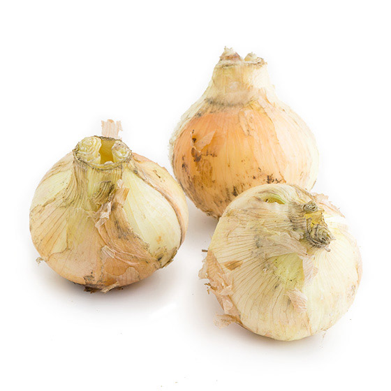 �y��e�ʁz���ʂ˂�(���茧�Y)