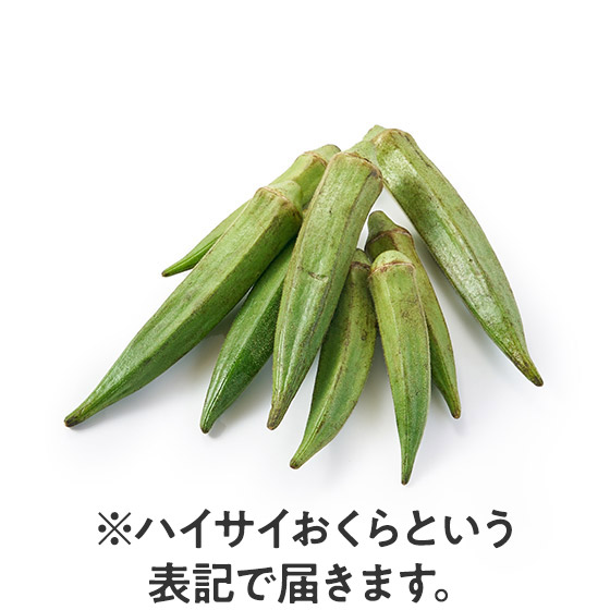 瓇炿 ˂΂Ƃp(ꌧY)