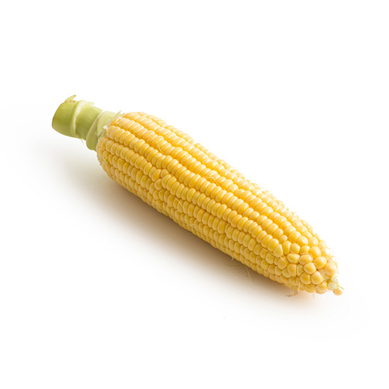 Ă̂ɁIÂ݂ՂƂ낱(QnY)